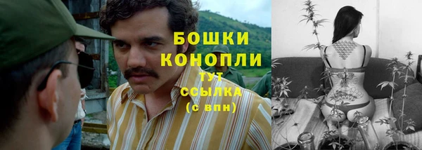 apvp Абаза
