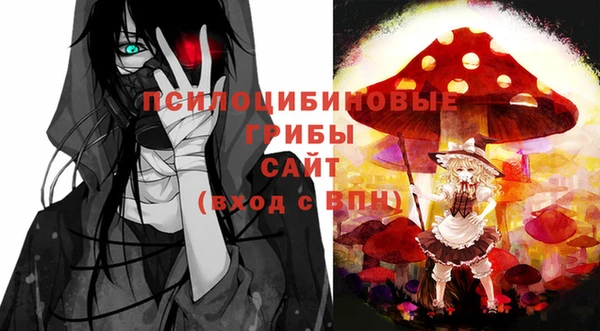 apvp Абаза