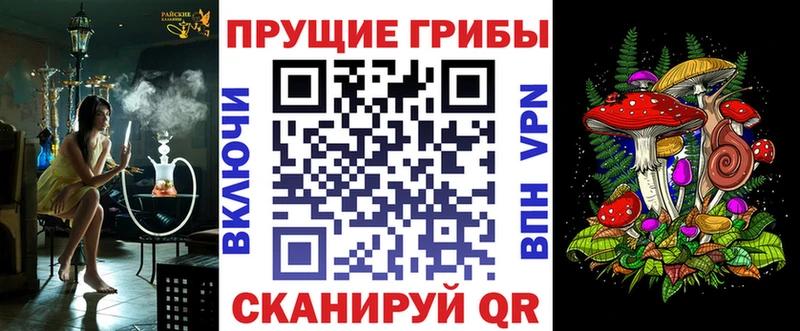 Галлюциногенные грибы Psilocybe  что такое наркотик  Нестеровская 