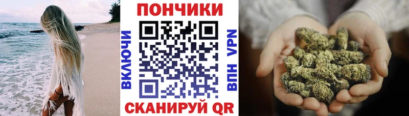 Канабис гибрид  Нестеровская 